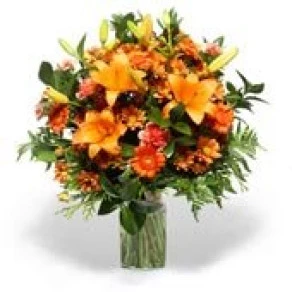 AMANHECER LARANJA EXT 509