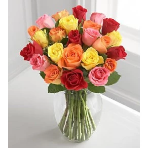 ROSAS COLORIDAS EXT 505