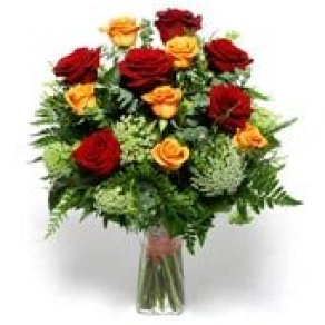 ROSAS BICOLOR EXT 512
