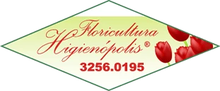 Floricultura Higienópolis