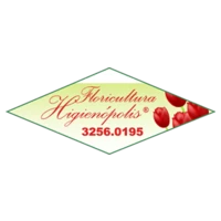 Floricultura Higienopolis Ltda